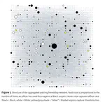 Black in blue networks: Social network integration and racial disparities in police use of force